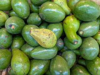 A pile of ripe green avocados, ready to eat