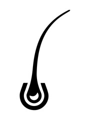 Human Hair Structure Icon