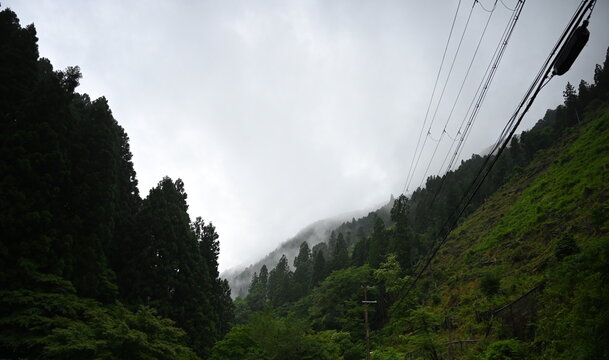 Coniferous Trees Peak Through Mist Over Mount Kibune Near Kifune Shrine in Kyoto Japan