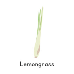 Lemongrass (Cymbopogon) Flat Cartoon Vector Illustration Isolated on White Background