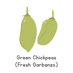 Green Chickpeas Vector Illustration. Chickpea or Chick Pea Cartoon Clipart, Vegetable in Flat Style. Also called Cicer arietinum, Chholia, or Green Chana. Legume Concept. Common Vegetable Vector Desig