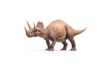 Fototapeta premium Realistic dinosaur depiction featuring a styracosaurus in natural pose for educational purposes