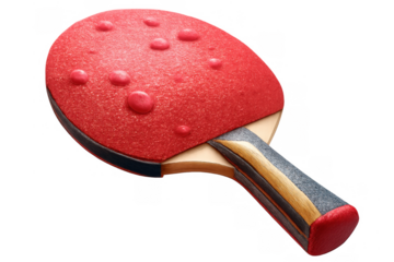 Ping pong paddle with red pips-out rubber, showcasing table tennis equipment for sport and recreation activities