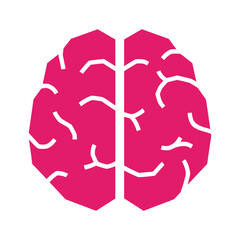 Brain Illustration