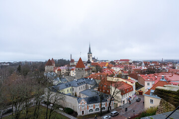 Obraz premium Tallinn, Estonia – Panoramic view of the Old Town skyline with medieval towers, red tile rooftops, church spires, and winter trees seen from an elevated viewpoint.