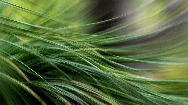 Nature's green Brushstrokes: An artistic depiction of vibrant green grass, its strands forming dynamic curves against a blurred background, capturing the essence of growth and vitality.