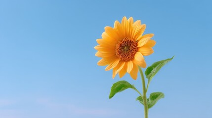 Bright Yellow Sunflower Bloom Against a Clear Blue Sky with Green Leaves and Natural Light, Symbolizing Happiness and Warmth of Nature's Beauty