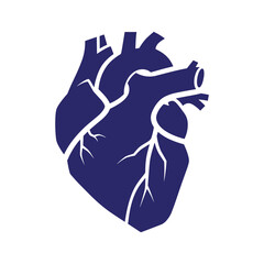 Heart Illustration