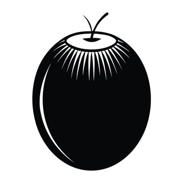 Tropical coconat vector illustration