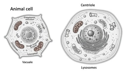close up of an electric cable