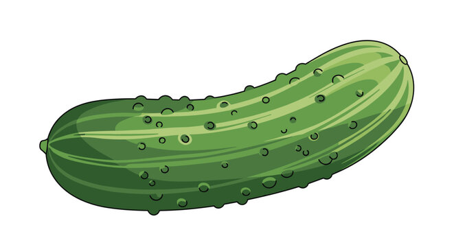 A fresh green pickled cucumber with bumpy skin, illustrated in a vibrant and detailed cartoon style on a clean white background.