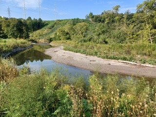 River Flows Through Green Field in Seton Park