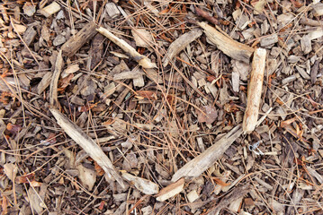 Natural ground texture with wood