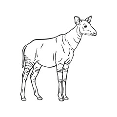 Fototapeta premium Hand Drawn Okapi Line Art Illustration, Black and White Animal Sketch Vector