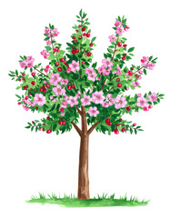 Obraz premium 春の木（水彩テクスチャ、飾り、デコレーション素材）