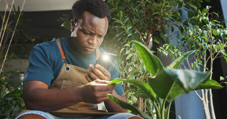 Phone, plant and picture with black man in nursery for quality control, botany specialist and entrepreneur. Small business, disease detection and leaf app with person and tech for eco friendly store