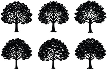 Vector silhouette of tree on white background.