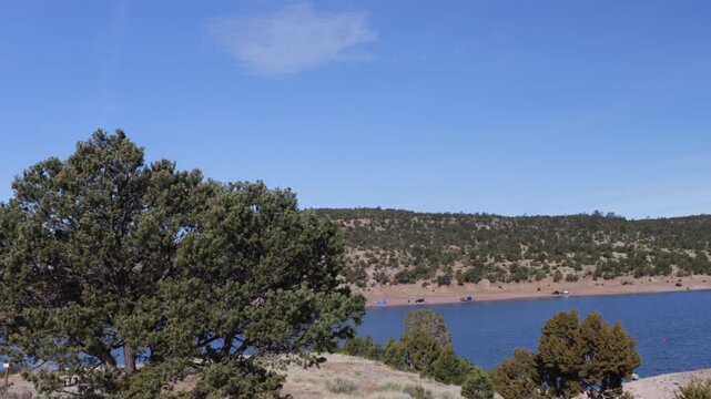 Pinyon pines, or pi&ntilde;ones, and juniper trees at Bluewater Lake State Park, a popular recreational spot in northwestern New Mexico