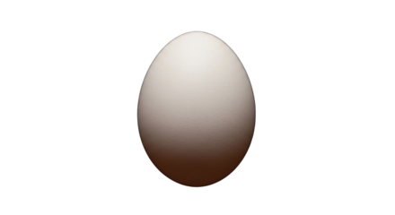 Studio shot of a single white egg against a stark black background conveys simplicity and purity