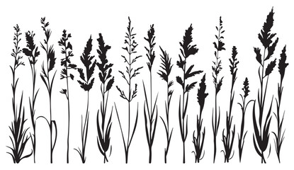 wild grass silhouettes, meadow plant illustration, botanical field artwork, nature grass drawing, minimal plant silhouettes, countryside vegetation art, elegant grass pattern, black botanical decor, h © dhruvik