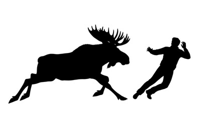Fototapeta premium Man Running from Charging Moose Wild Animal Encounter Silhouette Action Outdoor Nature Scene