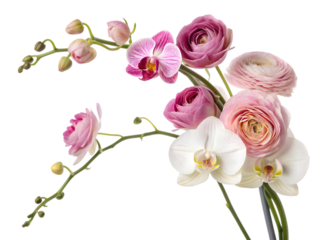 Orchid, Ranunculus & Sweet Pea Dynamic Perspective Rise: A mixed flower branch of orchid, ranunculus, and sweet pea layered upward with strong perspective depth, PNG style.