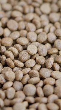 Detailed kibble closeup, Earthtoned image emphasizes nutritious and appealing pet snack, Close view of crunchy canine kibble in natural warm light for marketing purposes
