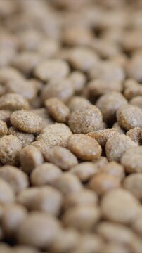Rotating kibble pellets in warm lighting scene, Detailed closeup of dry dog pellets spilling from scoop, Detailed scene of pet kibble falling into bowl with cozy ambiance