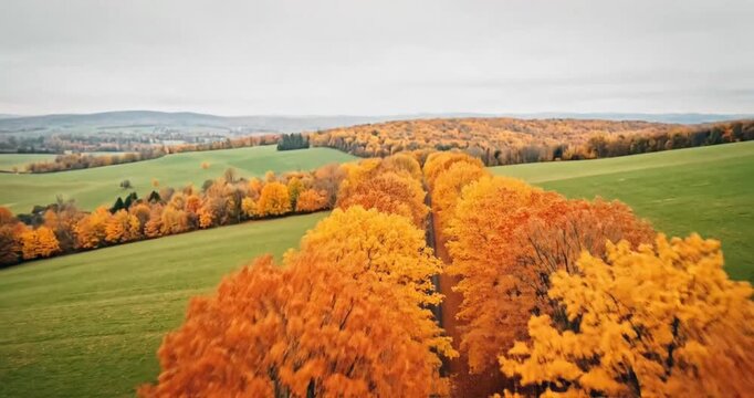 Scenic view of a tree-lined path with vibrant autumn foliage, inviting tranquility and nature's beauty