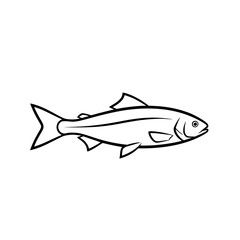 Obraz premium shark vector illustration