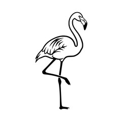 Fototapeta premium vector illustration of a flamingo