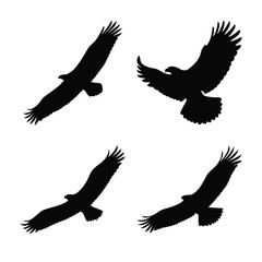 Black silhouettes of majestic eagles soaring in different flight poses on a pristine white background