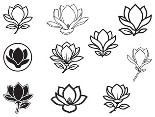 Fototapeta premium MAGNOLIA FLOWER SILHOUETTE
