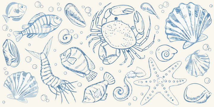 A beautiful sketch of various marine life and seashells in blue tones