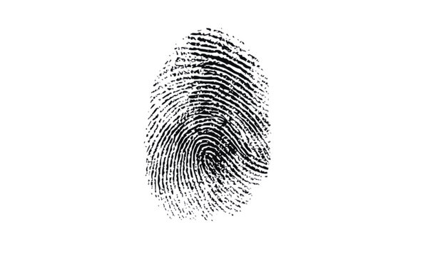 Realistic human fingerprint , Black fingerprint isolated on transparent background 