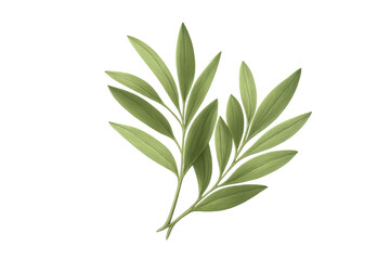 Fototapeta premium Green leaves botanical illustration with two branches of fresh foliage creating a natural decorative element