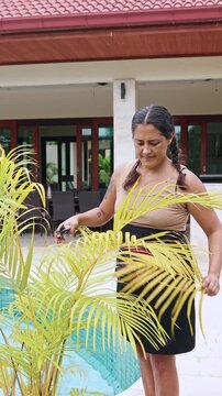 Woman gardener pruning a potted palm tree