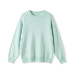 Obraz premium Mint Green Crew Neck Sweater for Women, Casual Knitwear Fashion.