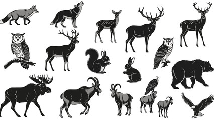 A collection of detailed black and white illustrations of various wild animals found in forests and mountains.