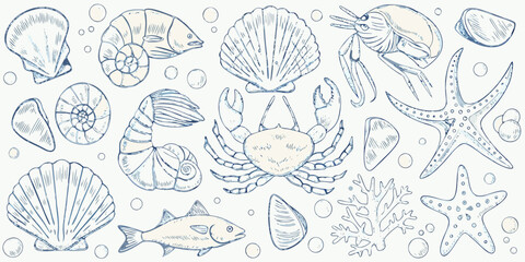 A delicate sketch of various marine life and seashells in blue tones