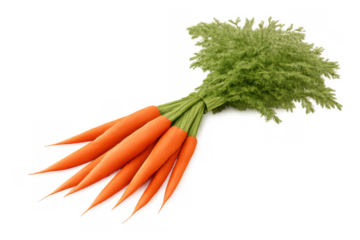 Fresh organic carrots bunch with green tops, providing healthy nutrition and natural vitamin a on transparent background