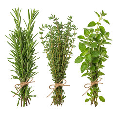 Fototapeta premium Fresh Herb Bunches Rosemary Thyme Oregano Black Background