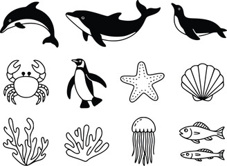 Illustrations of various marine life