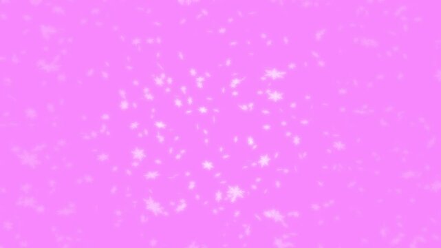White snowflakes being lit up and falling down on pale pink background. Abstract background for Merry Christmas, Happy Holidays, Season's greetings, Happy Valentine's day and winter season.