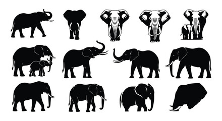 A collection of silhouettes depicting several elephants in various poses © MdNirob