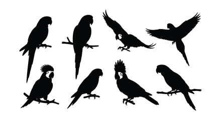 Fototapeta premium Silhouette illustrations of various parrots in different poses and arrangements