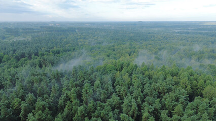 Misty morning over lush green forest landscape