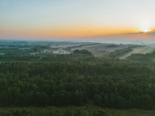 Fototapeta premium Sun rising over foggy forested countryside