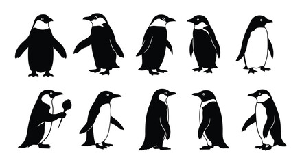 Fototapeta premium A collection of black and white penguin silhouettes in various poses