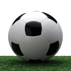 Perfect Soccer Ball Image Display